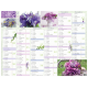 Calendrier 6 mois Fleurs PEFC 2024