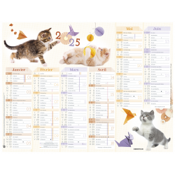 Calendrier 6 mois Chatons PEFC 2025