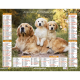 Almanach calendrier du facteur 2024 Chiens