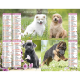 Almanach du facteur 2024 chiots