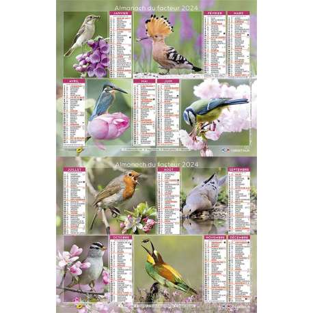 Calendrier les oiseaux de nos jardins (édition 2024) - Livres sur les  Animaux